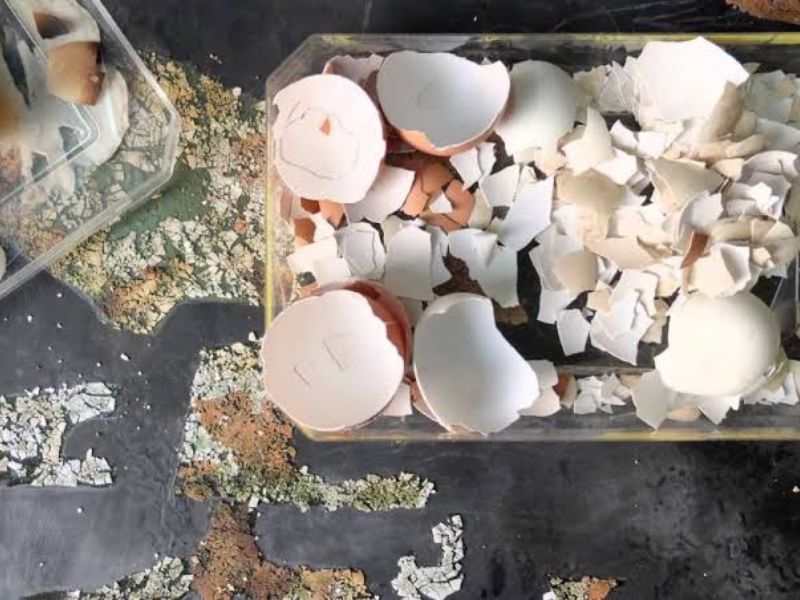 Eggshell and mother-of-pearl are inlaid to create signature surface textures unique to lacquer paintings.