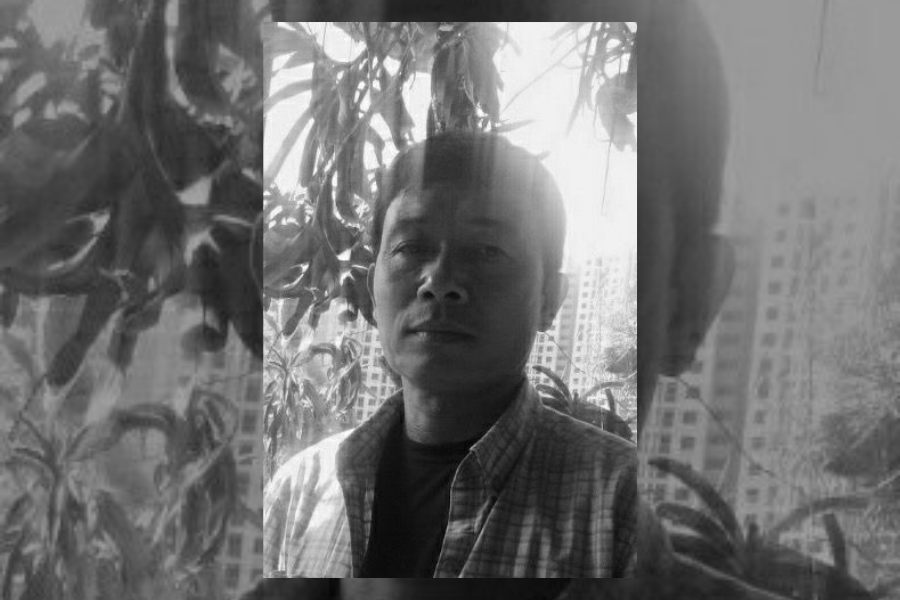 PHAM HONG SON'S SUMMER DRAGONFLY FLOCK